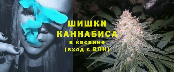 хмурый Богородицк