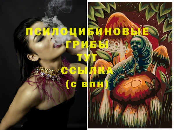 шишки Богданович